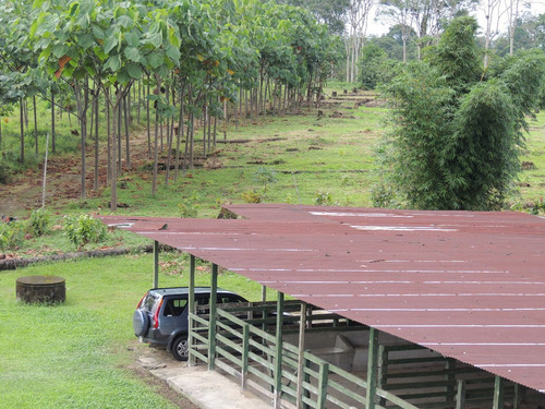 Imagen 5 de 22 de Vendo Hermosa Hacienda