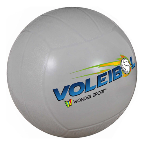 Balón De Fundamentación Para Voleibol