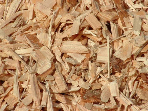 O Pau Tenente, 100 Gr Erva Seca Para Chá
