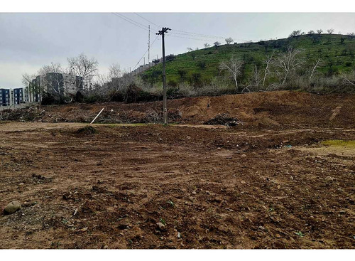 Atención Inmobiliarias Constructoras 14.533 M (75903)