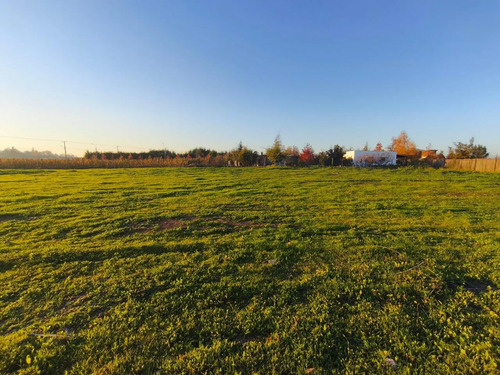 Parcela En Venta - Sector Quilvo Alto, Curicó / Romeral