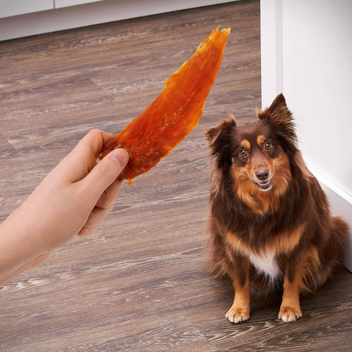 Golden Rewards Chicken Jerky Carne Premio Para Perros 907g