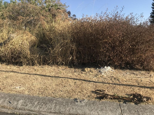 Imagen 2 de 3 de Terreno En Venta Lomas De Cocoyoc