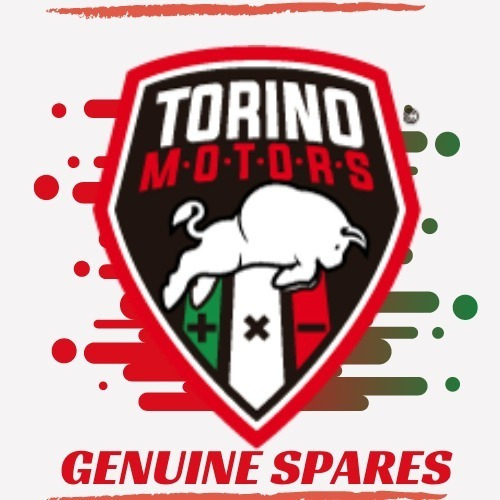 Imagen 5 de 5 de Disco De Freno Trasero Para Trotter Torino Motors