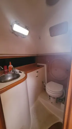 Quantum 29 -