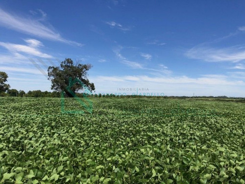 Imagen 2 de 8 de Martin Chico, Colonia - Campo Agricola A 20km De Carmelo
