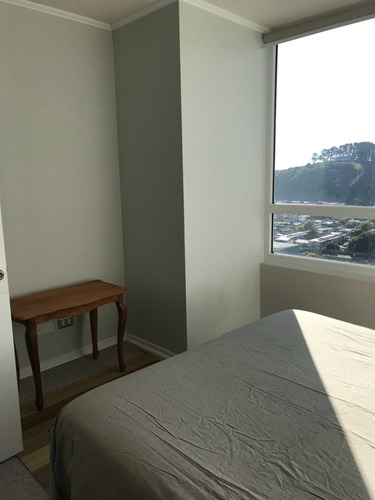 Vendo Departamento En Concepción (67027)