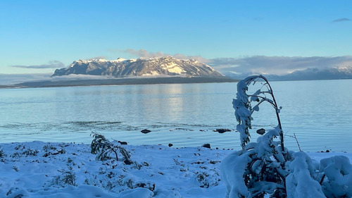 Lotes En Puerto Natales, Península Antonio Varas