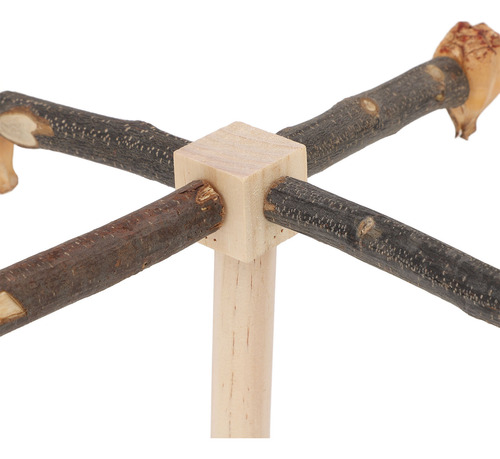 Pájaro De Madera Con Forma De Percha Giratorio Para Entrenam