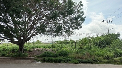 Imagen 7 de 12 de Terreno En Venta Corinsa Cagua 21-25380 Dperez