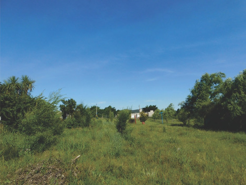 Imagen 2 de 6 de Hermoso Terreno De 800 M2 A 250 M De La Bajada Al Lago!378