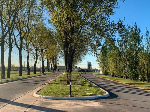 Imagen 12 de 23 de Oportunidad!! Lote - La Alameda Etapa 3 Financiado