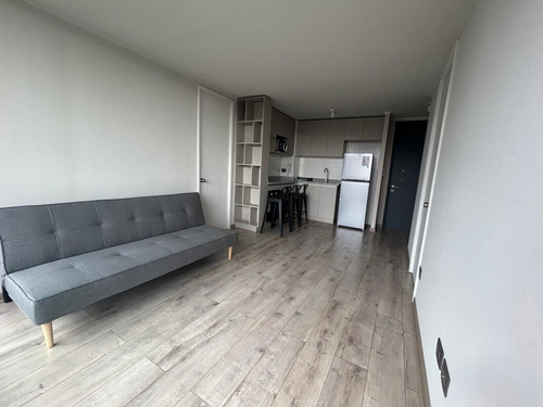 Arriendo Depto. Nuevo De 2d2b Semi Amoblado En Recoleta Metr
