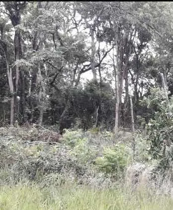 Terrenos Avaré Represa Jurumirim Recanto 2 ( Ref 3 Terrenos)