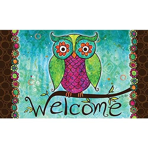 Tapete De Bienvenida Rainbow Owl 800004 De 18x30 Pulgad...