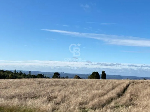Parcelas Conexión Privada A Puerto Varas Y Los Muermos