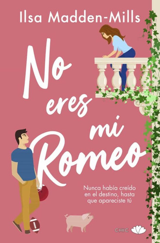 Libro No Eres Mi Romeo 