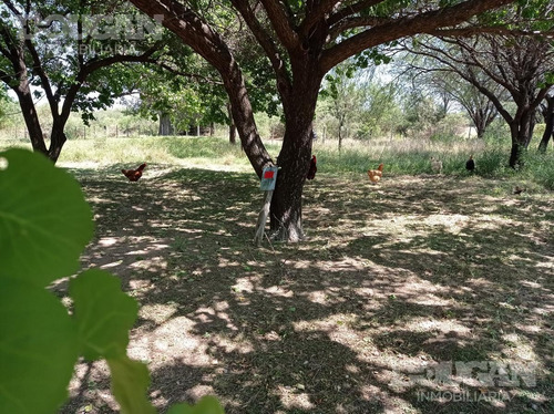Imagen 10 de 27 de Campo - Punta De Agua