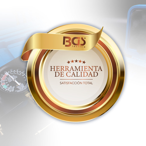 Maneral Con Matraca Para Machuelos M5 - M12 | Bgs 1981