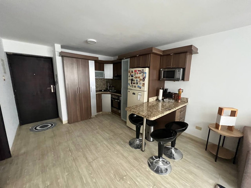 Apartamento Tipo Estudió En Alquiler En La Trigaleña Pr-sd