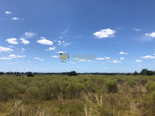 Campo En Los Ceibos - Consulte !!!!!- Ref: 3976