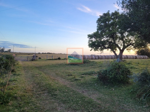 Imagen 4 de 26 de 70 Hectáreas De Campo Ganadero Corte De La Leña