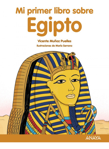Mi Primer Libro Sobre Egipto - Munoz Puelles Vicente