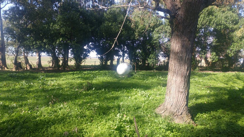 Imagen 2 de 14 de Campo Mixto, Ideal Haras Ptdo Punta Indio