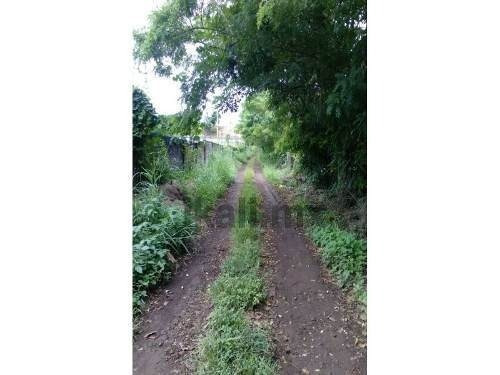Imagen 2 de 11 de Terreno En Venta Carr. Costera Del Golfo Km. 149.5 Catemaco Veracruz 5000 M². Puede Fraccionarse Dependiendo De Las Necesidades Del Interesado,el Precio Por Metro Cuadrado Es De $500.00 Pesos. Está U