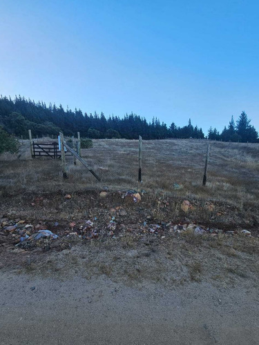 Parcela 5000 M2 A 20 Min. De Santa Cruz (64696)