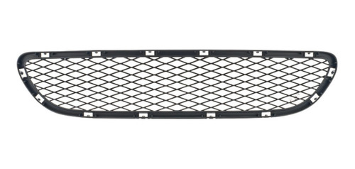 Rejilla Defensa Tong Yang Bmw Serie 3 09 A 11