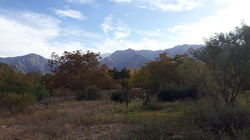 Imagen 23 de 30 de Finca En Venta En Los Molinos La Rioja