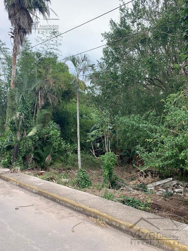 Imagen 1 de 4 de Terreno - Pueblo Paso Del Toro