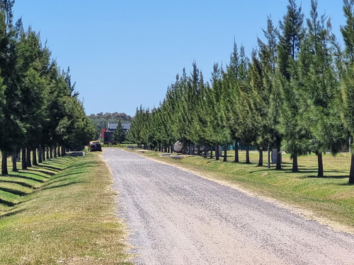 Venta, Lote, El Mirador Club De Campo Al 200
