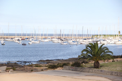 Imagen 11 de 12 de Venta Apartamento 1 Dormitorio Pocitos Sea Side I