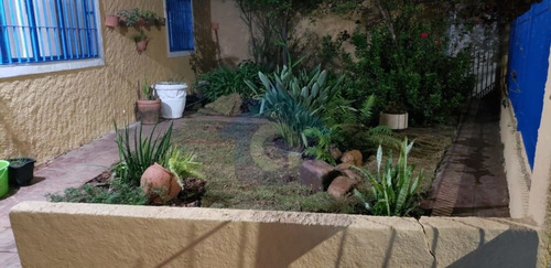 Imagem 1 de 15 de Casa Térrea, Confortável, Com Jardim Frontal Com Árvores Frutíferas, Com 3 Dormitórios E 4 Vagas . - Tw15952