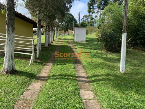 Imagem 11 de 22 de Chácara À Venda, Mendes, São Lourenço Da Serra/sp - 5864