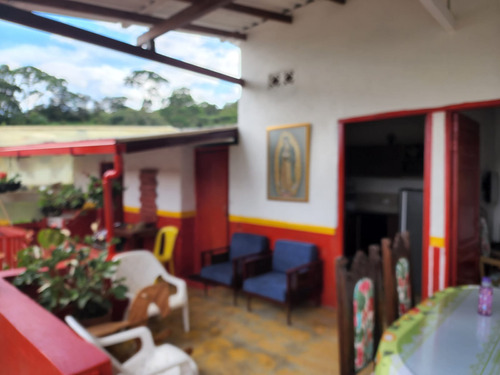 Venta De Finca Cafetera En Jericó Antioquia