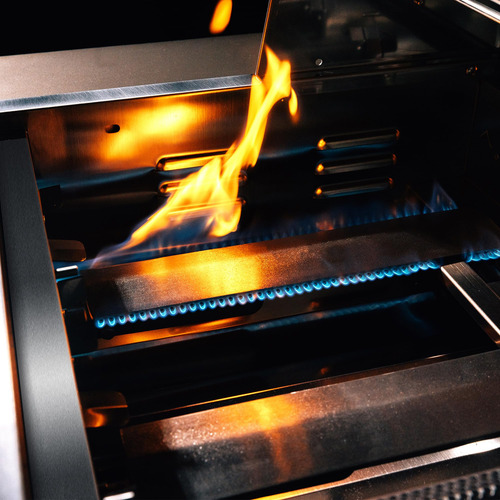 Trueflame Premium 40-inch 5-burner Built-in Propane Gas