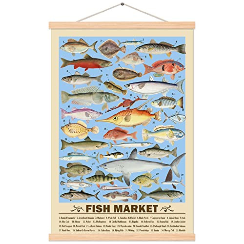 Retro Fish Poster Ocean Life Chart Vintage Marine Biolo...