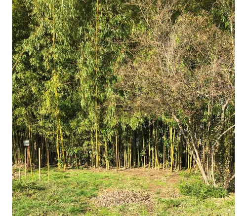Venta Parcela Agroresidencial Chillán, San Nicolás