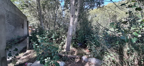 Imagen 3 de 7 de Terreno En Las Toninas