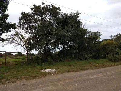 Terreno en renta