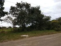 Comprar Renta Terreno 6 Hectareas Col. Santiago De La Peña Tuxpan Veracruz