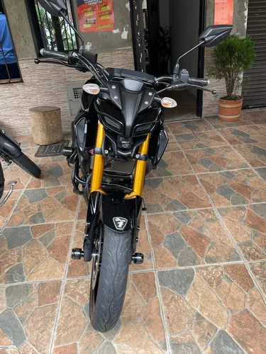 Mt 15 2024