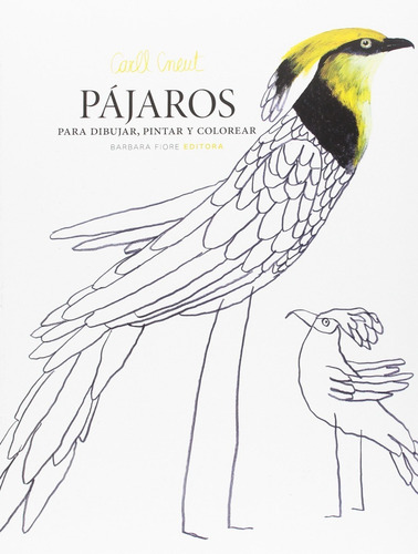 Pajaros: Para Dibujar, Pintar Y Colorear | Cuotas sin interés Pajaros: Para Dibujar, Pintar Y Colorear | Cuotas sin interés