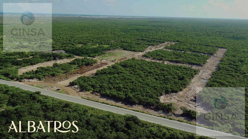 Imagen 13 de 20 de Residencial Albatros || Excelente Privada Residencial De Lotes De Terreno En Venta, Ubicada Al Norte De Merida, Cercana A Chicxulub Puerto