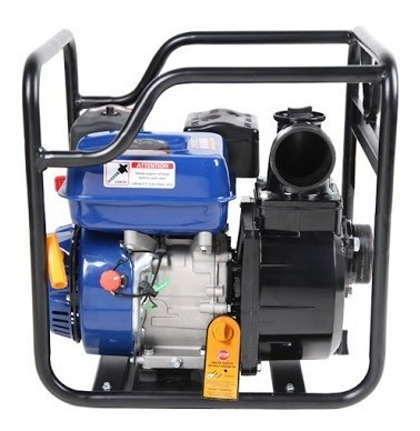 Imagen 2 de 9 de Motobomba Ford Fpx30e A Nafta Agua Limpia 30mt 58.000lt/h
