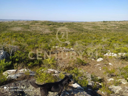 Imagen 4 de 19 de Se Vende Muy Lindo Campo Con Cañada !!