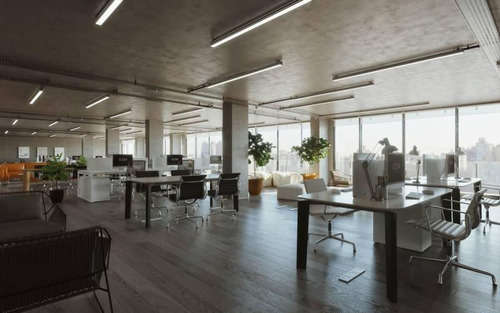 Imagen 23 de 29 de Oportunidad De Inversión De Oficinas
